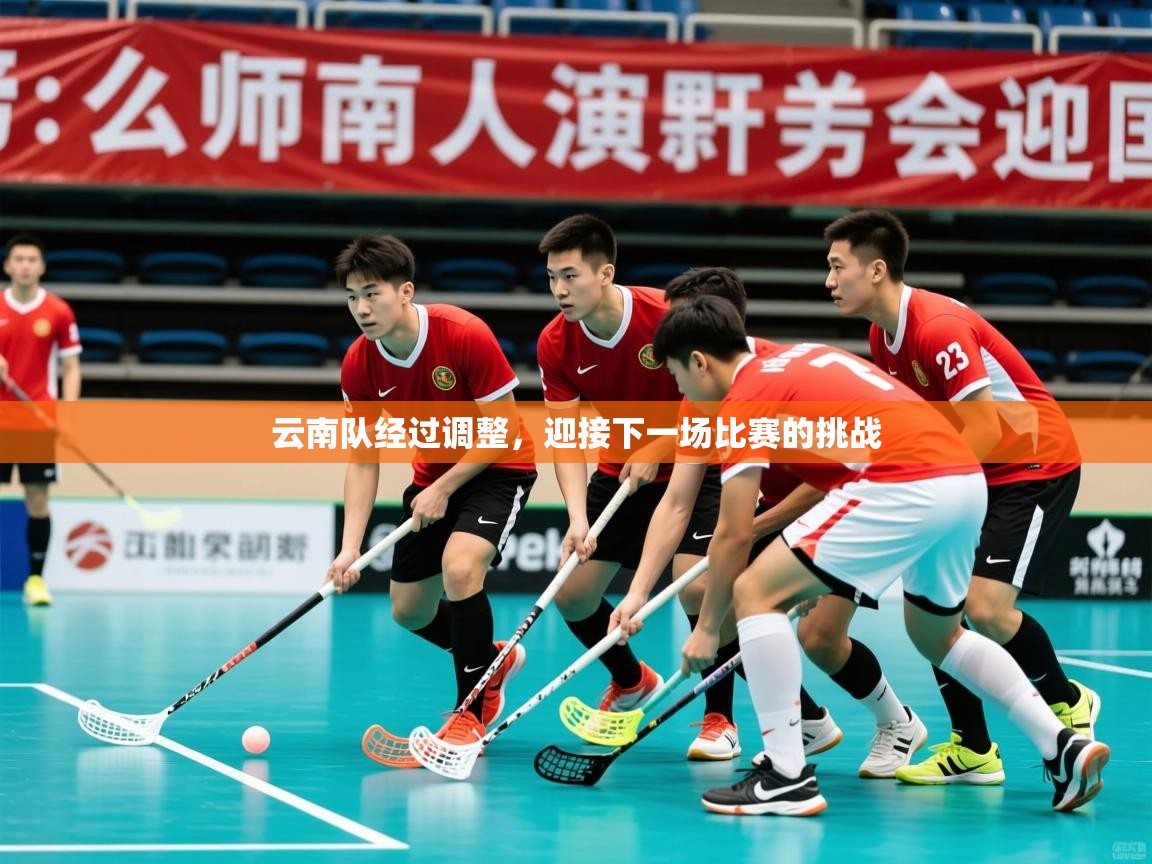 2025爱游戏官方网站入口登录指南云南队经过调整，迎接下一场比赛的挑战  第2张