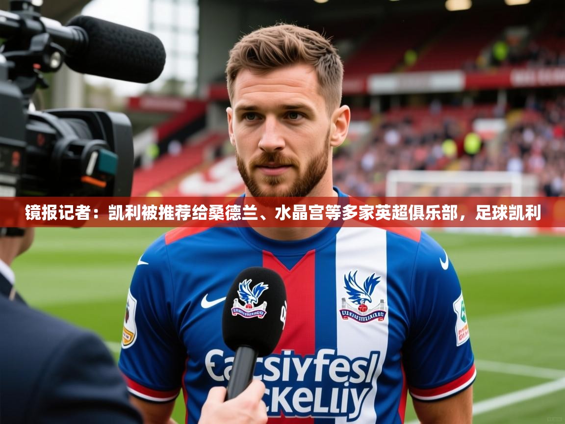2025爱游戏登录平台镜报记者:凯利被推荐给桑德兰、水晶宫等多家英超俱乐部,足球凯利 第1张