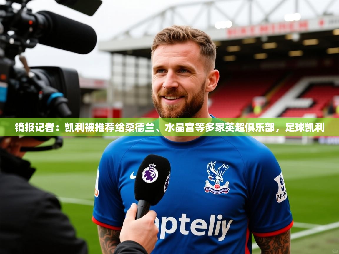 2025爱游戏登录平台镜报记者:凯利被推荐给桑德兰、水晶宫等多家英超俱乐部,足球凯利 第3张