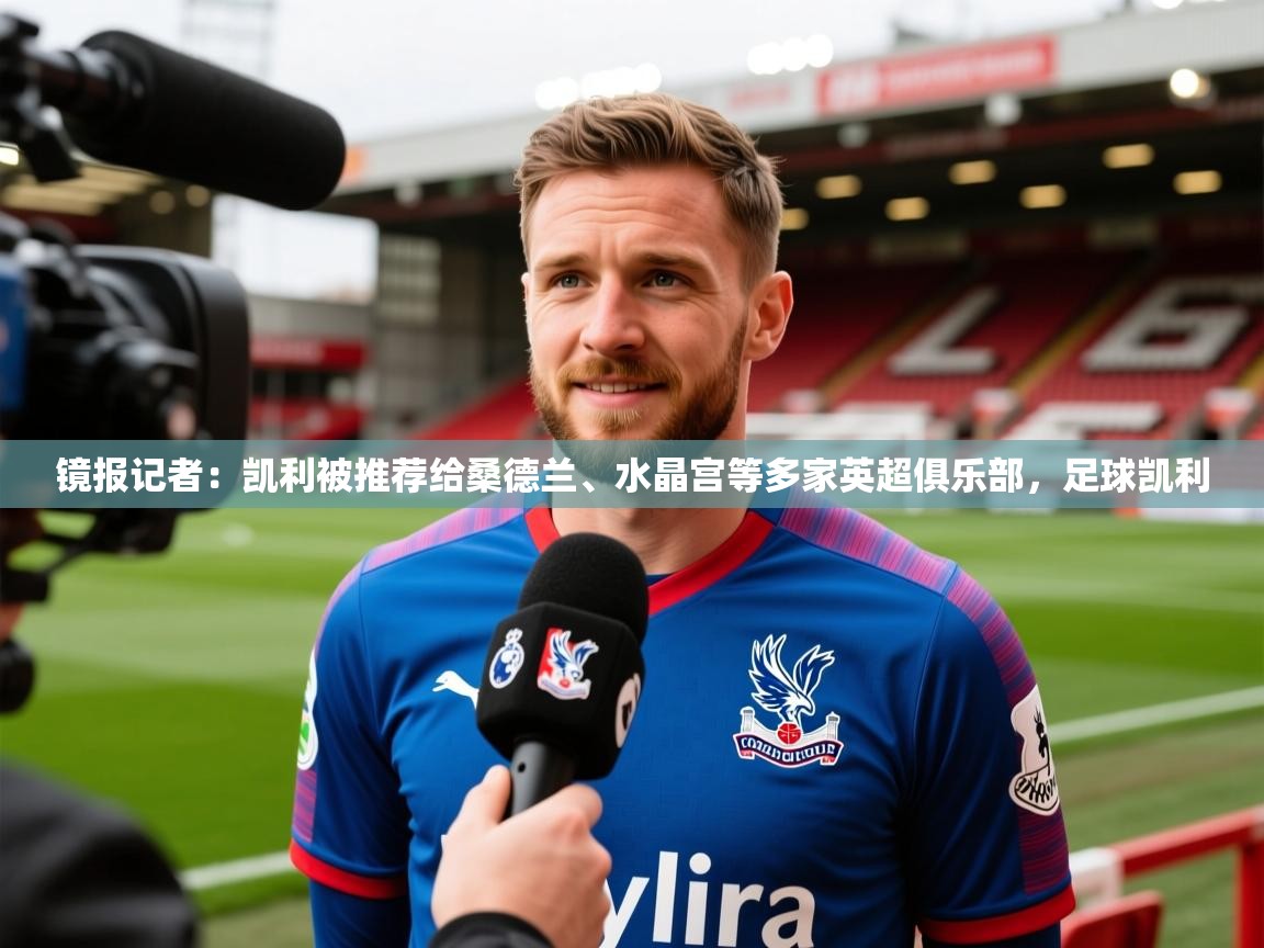 2025爱游戏登录平台镜报记者:凯利被推荐给桑德兰、水晶宫等多家英超俱乐部,足球凯利 第2张