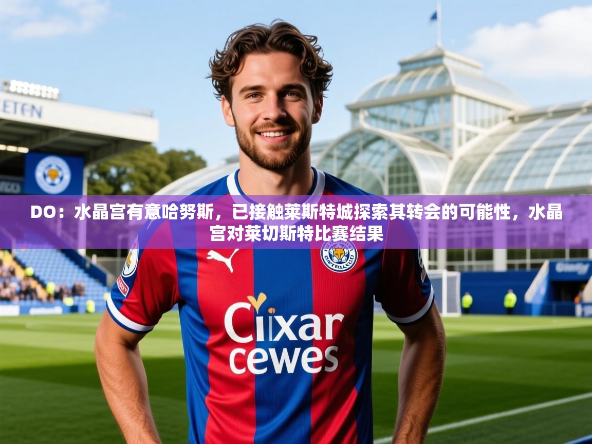 2025爱游戏登录网页入口DO:水晶宫有意哈努斯,已接触莱斯特城探索其转会的可能性,水晶宫对莱切斯特比赛结果 第3张
