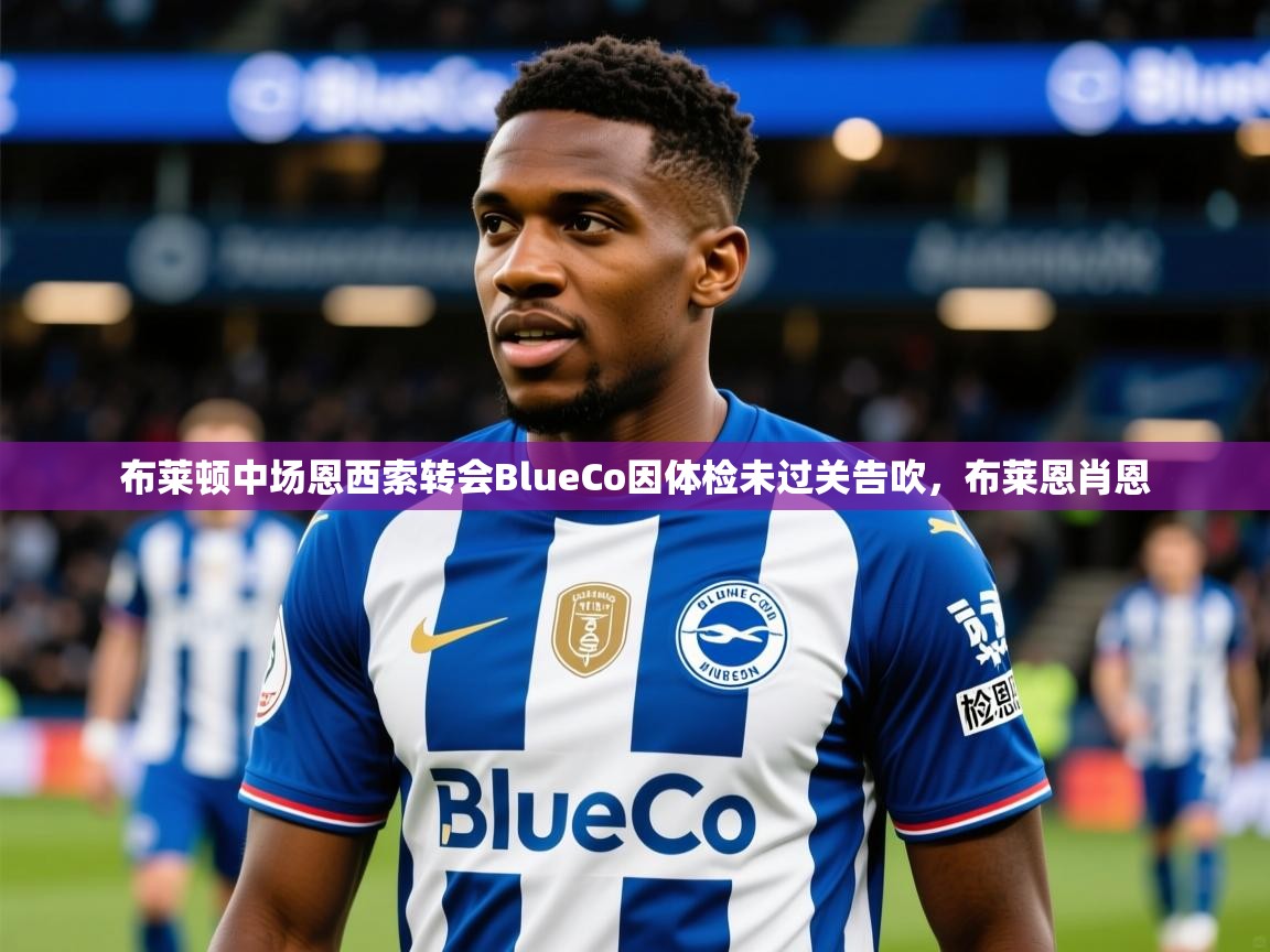 2025爱游戏体育下载布莱顿中场恩西索转会BlueCo因体检未过关告吹，布莱恩肖恩  第1张