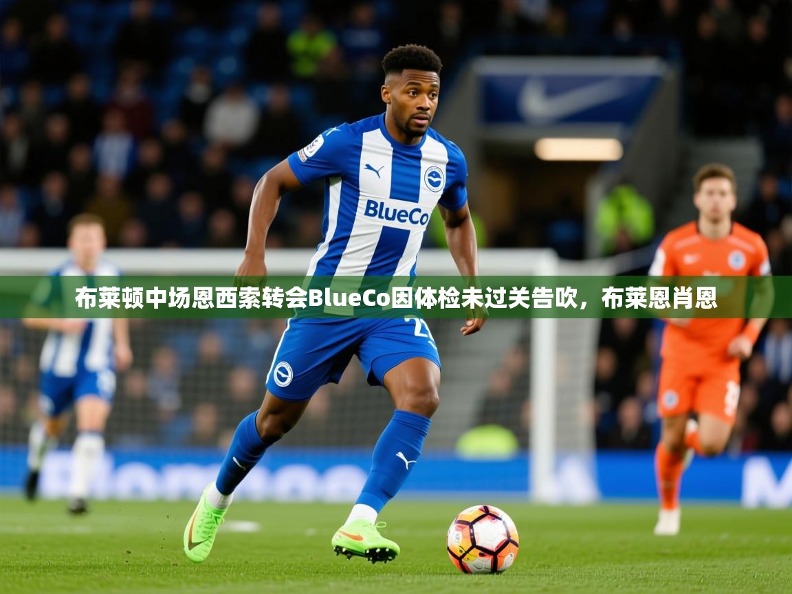 2025爱游戏体育下载布莱顿中场恩西索转会BlueCo因体检未过关告吹，布莱恩肖恩  第2张