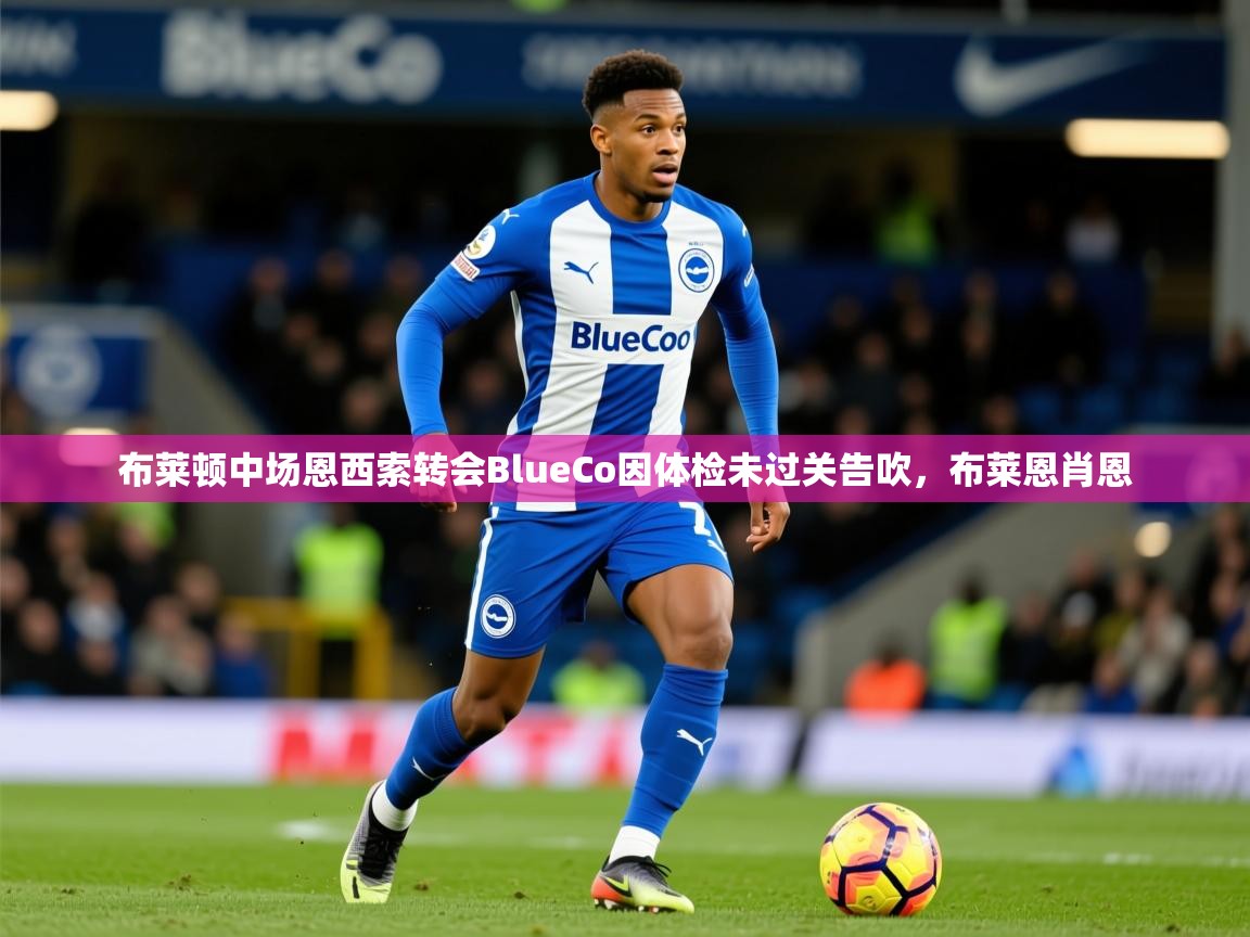 2025爱游戏体育下载布莱顿中场恩西索转会BlueCo因体检未过关告吹，布莱恩肖恩  第4张