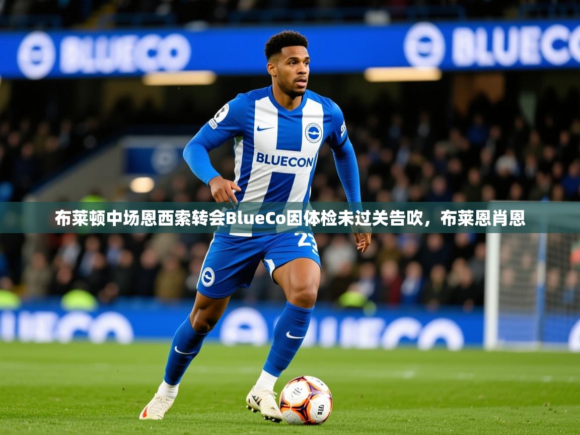 2025爱游戏体育下载布莱顿中场恩西索转会BlueCo因体检未过关告吹，布莱恩肖恩  第3张